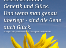 Glückliches Leben