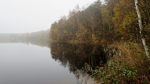 Wasser im Nebel im Herbst