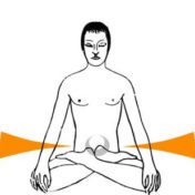 Swadhisthana