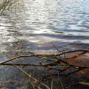 Wasser-Meditation