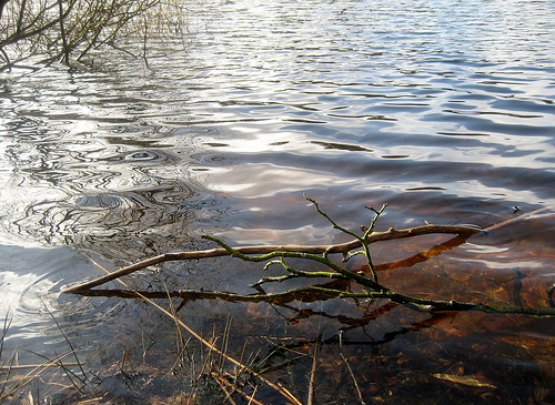 Wasser-Meditation