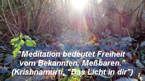 Meditation und Licht