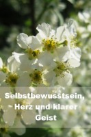 Selbstbewusstsein, Herz und klarer Geist